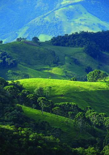 A környék, Oca Delfim in Delfim Moreira A környék, Oca Delfim in Delfim Moreira