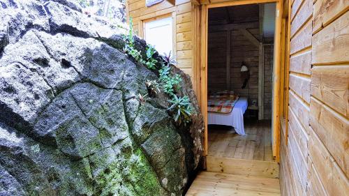 Le Bougainvillier Blanc in Pointe-Noire Le Bougainvillier Blanc in Pointe-Noire