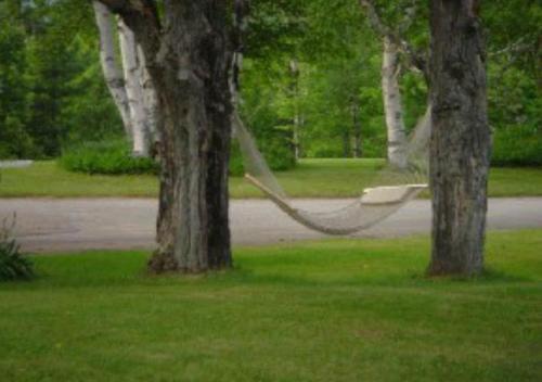 This photo about Patio Motor Court shared on HyHotel.com