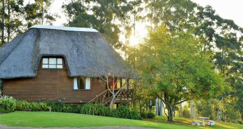 ANEW Resort Ingeli Forest Kokstad in Kokstad ANEW Resort Ingeli Forest Kokstad in Kokstad
