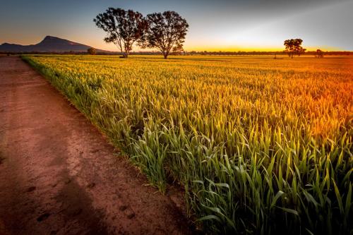 Avalon Farm Stay in Yerong Creek Avalon Farm Stay in Yerong Creek