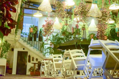 Botanika Hotel in Бужумбура Botanika Hotel in Бужумбура