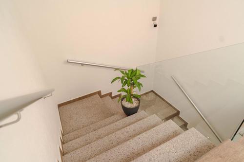 Buitenkant, Real Naviero Hotel Ejecutivo in El Manzanillo Buitenkant, Real Naviero Hotel Ejecutivo in El Manzanillo