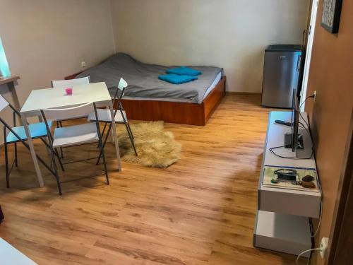 Cosy studio in quiet location Renovated June 2021 in Pulawy Cosy studio in quiet location Renovated June 2021 in Pulawy
