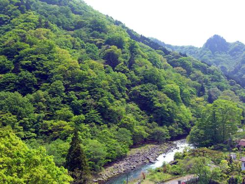 This photo about Nikko Senhime Monogatari shared on HyHotel.com