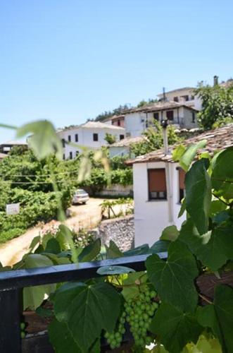 This photo about Hotel Theo shared on HyHotel.com