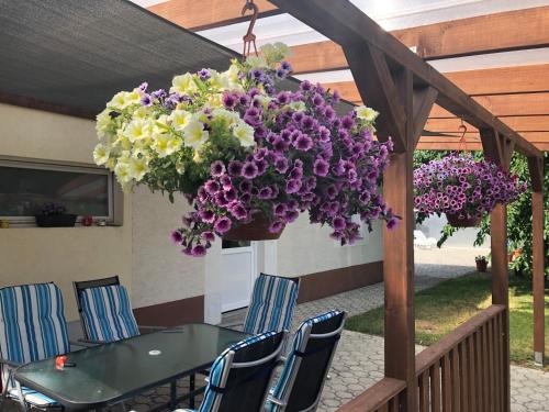 Elvira Vendégház (Elvira Vendeghaz) in Lipót Elvira Vendégház (Elvira Vendeghaz) in Lipót