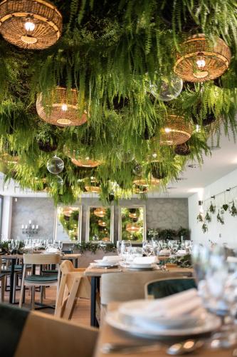 HERBARIUM boutique hotel in ลาซเช HERBARIUM boutique hotel in ลาซเช