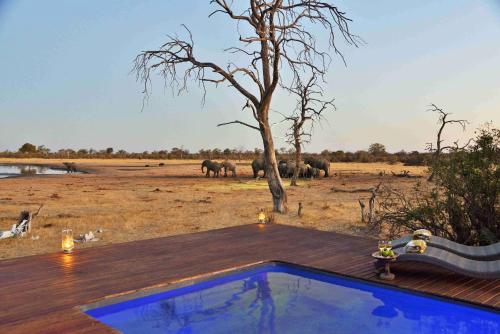 Balcony/terrace, Nogatsaa Pans Lodge in Chobe Balcony/terrace, Nogatsaa Pans Lodge in Chobe