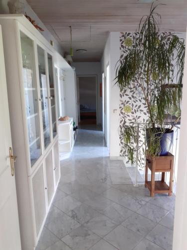 Appartment Andrea in Eugenfalu Appartment Andrea in Eugenfalu