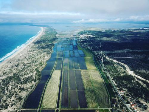 Little Suite in คอมปอตา Little Suite in คอมปอตา