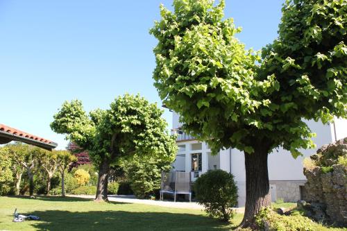 Giardino, B&B I due tigli in Travedona Giardino, B&B I due tigli in Travedona