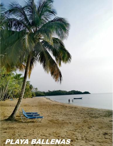 Samán Residences D3 (Saman Residences D3) in Cano Seco Samán Residences D3 (Saman Residences D3) in Cano Seco