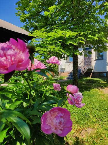 Vườn, Polku Apartaments in Imatra Vườn, Polku Apartaments in Imatra