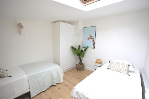 Sweet Jardin des plantes