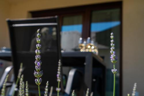 สวน, Captain’s Home Kenese Apartman in บาลาตันเคเนสเซ่ สวน, Captain’s Home Kenese Apartman in บาลาตันเคเนสเซ่