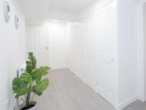 Royal Mile Old Town Apartment