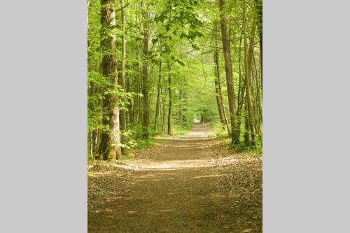 Charmant F2 de 30m2 moin cher a 15min a pied de la foret, et a 25 min de Paris in Le Mee-sur-Seine Charmant F2 de 30m2 moin cher a 15min a pied de la foret, et a 25 min de Paris in Le Mee-sur-Seine
