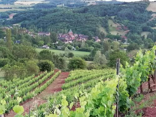 Sports and activities, Le moulin des vignes in Laguiole Sports and activities, Le moulin des vignes in Laguiole