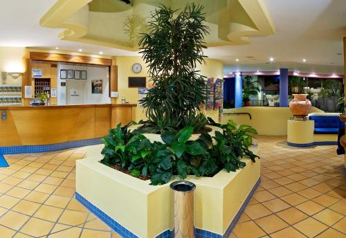 Lobby, Nautilus Mooloolaba in Sunshine Coast Lobby, Nautilus Mooloolaba in Sunshine Coast