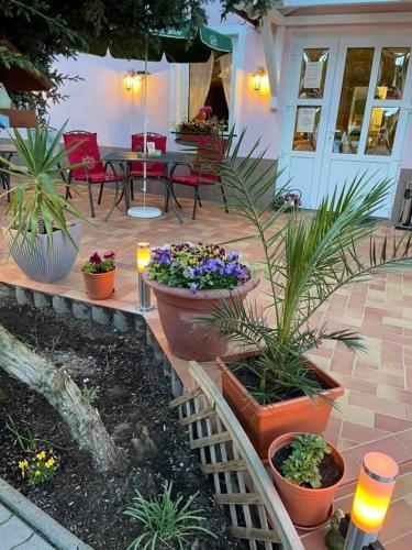 Pension Nadia in Adorf/Vogtl. Pension Nadia in Adorf/Vogtl.