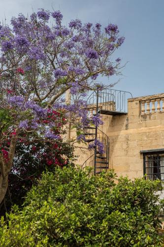 Hotellet från utsidan, Ta' Bertu Host Family Bed & Breakfast in Zurrieq Hotellet från utsidan, Ta' Bertu Host Family Bed & Breakfast in Zurrieq