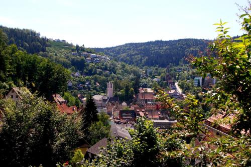 المرافق, Hotel Cafe Adler 24h self check in in Triberg Town Center المرافق, Hotel Cafe Adler 24h self check in in Triberg Town Center