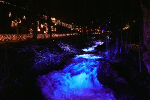 قاعة للمآدب, Hotel Cafe Adler 24h self check in in Triberg Town Center قاعة للمآدب, Hotel Cafe Adler 24h self check in in Triberg Town Center