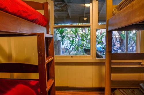 This photo about Tiki Beach Hostel shared on HyHotel.com