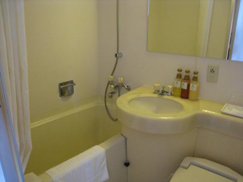 Bathroom, Rembrandt Style Tokyo Nishikasai in Edogawa Bathroom, Rembrandt Style Tokyo Nishikasai in Edogawa