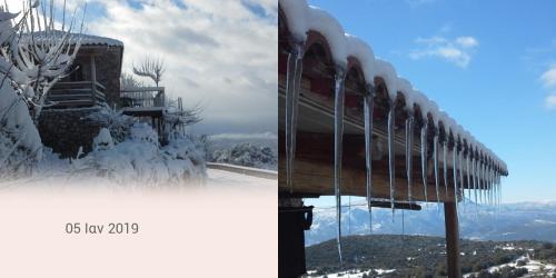 The Artist's House in Olympia The Artist's House in Olympia