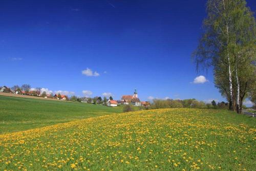 Ferienwohnung-Waldstrasse-mit-Garten-nur-50-Meter-vom-Wald-entfernt in Waldsassen Ferienwohnung-Waldstrasse-mit-Garten-nur-50-Meter-vom-Wald-entfernt in Waldsassen