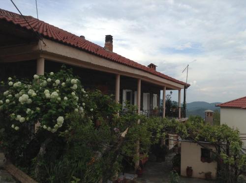 Guesthouse Lamprini in 네오초리온 Guesthouse Lamprini in 네오초리온