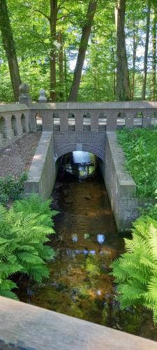 Onder de eik in Ermelo Onder de eik in Ermelo