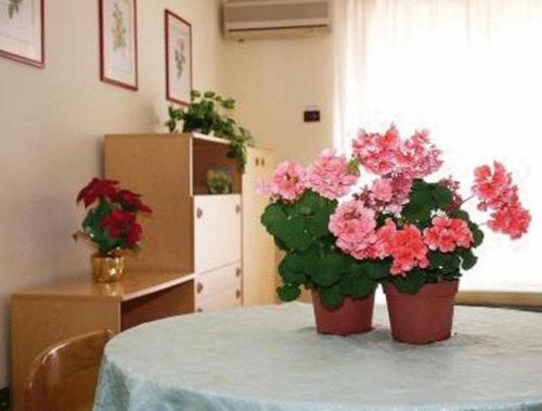 This photo about Residence Royal shared on HyHotel.com