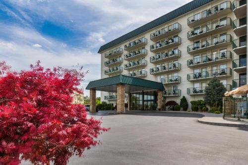 Park Grove Inn in 피전 포지 (TN) Park Grove Inn in 피전 포지 (TN)