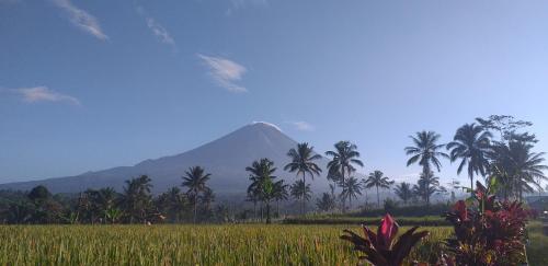 圖帕克瑟烏角落民宿 (D'corner Tumpaksewu Homestay) in 南海漳 圖帕克瑟烏角落民宿 (D'corner Tumpaksewu Homestay) in 南海漳