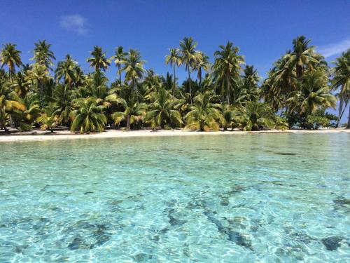 La Perle de Tahaa - Luxury Guest House in Tahaa La Perle de Tahaa - Luxury Guest House in Tahaa