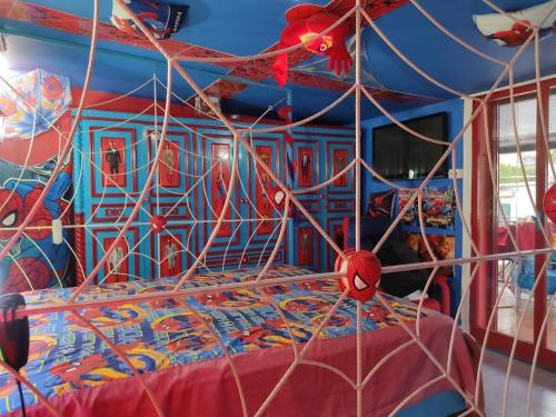 SPIDERMAN House in Pedara SPIDERMAN House in Pedara