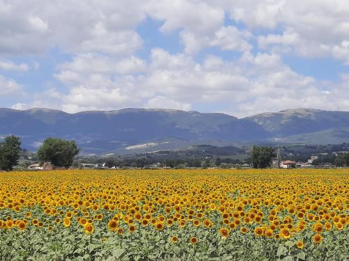 Appartamento di Claudia in campagna, Locazione turistica in Сполето Appartamento di Claudia in campagna, Locazione turistica in Сполето