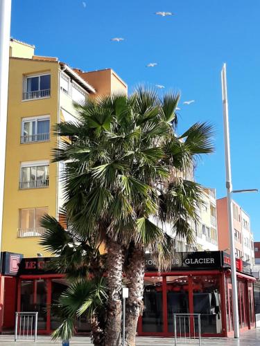 Studio Le Pharo, plage, piscine, centre port in Agde Studio Le Pharo, plage, piscine, centre port in Agde