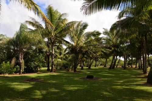 Domaine des Oiseaux Réunion (Domaine des Oiseaux Reunion) in Saint Andre Domaine des Oiseaux Réunion (Domaine des Oiseaux Reunion) in Saint Andre