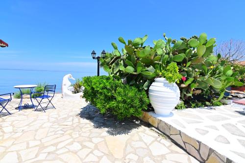 منظر, Alisaxni Studios in Argassi منظر, Alisaxni Studios in Argassi