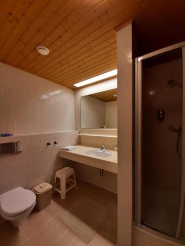 Baño, Apartment Wanderlust Gerlitzen in Treffen Am Ossiacher See Baño, Apartment Wanderlust Gerlitzen in Treffen Am Ossiacher See