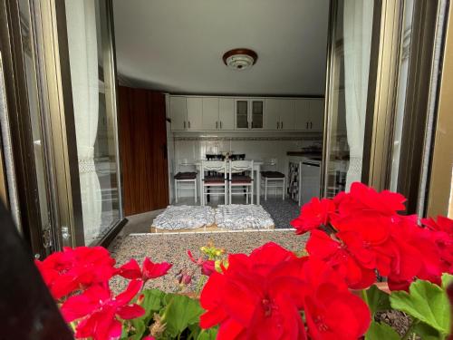 Konyha, Casa: El Portalón de Valdivia (Casa: El Portalon de Valdivia) in Canduela Konyha, Casa: El Portalón de Valdivia (Casa: El Portalon de Valdivia) in Canduela