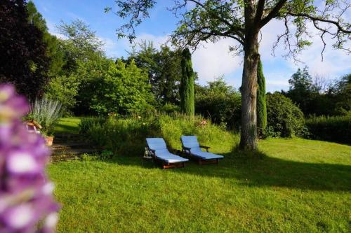 花園, Grüne Wohlfühloase mit einmaliger Aussicht (Grune Wohlfuhloase mit einmaliger Aussicht) in 克尼格斯溫特爾 花園, Grüne Wohlfühloase mit einmaliger Aussicht (Grune Wohlfuhloase mit einmaliger Aussicht) in 克尼格斯溫特爾