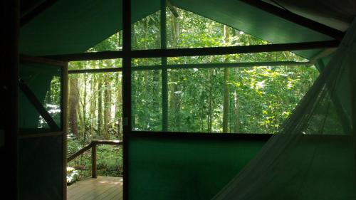 Daintree Crocodylus Village in Daintree Daintree Crocodylus Village in Daintree