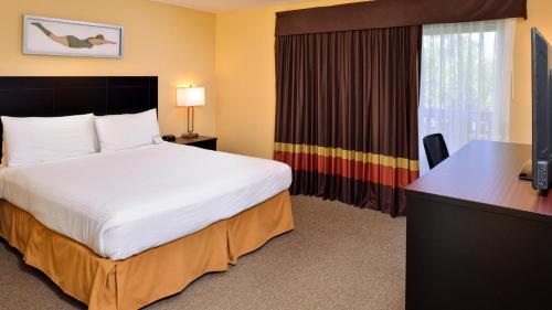 Dana Point Marina Inn image 37
