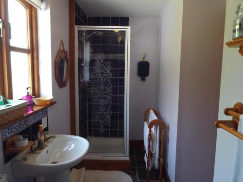 This photo about Woodpeckers shared on HyHotel.com