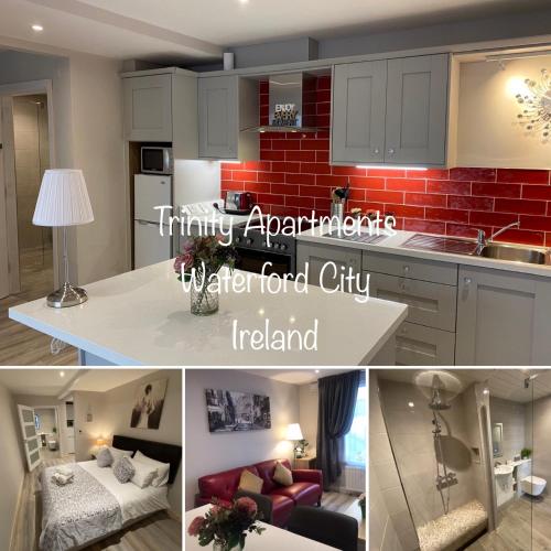 Trinity Apartments - 2b Studio Apt Waterford City in 워터포드 Trinity Apartments - 2b Studio Apt Waterford City in 워터포드